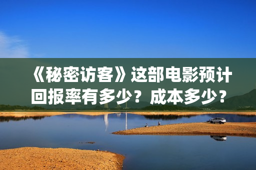 《秘密访客》这部电影预计回报率有多少？成本多少？(秘密访客到底演了个啥)