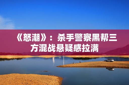 《怒潮》：杀手警察黑帮三方混战悬疑感拉满