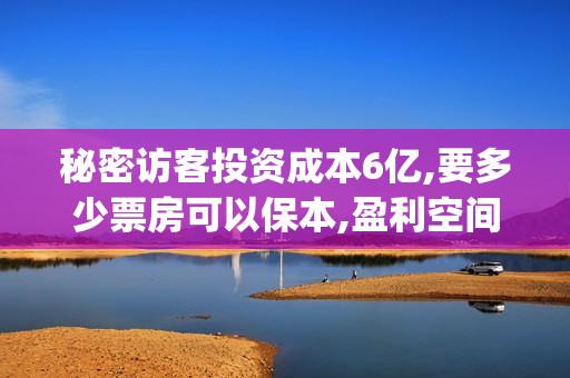 秘密访客投资成本6亿,要多少票房可以保本,盈利空间大吗？(秘密访客投资门槛高吗?)