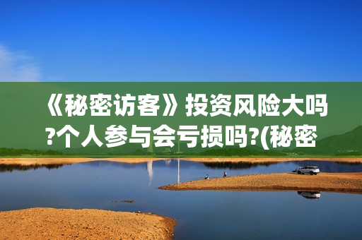 《秘密访客》投资风险大吗?个人参与会亏损吗?(秘密访客2021hdtc最新)