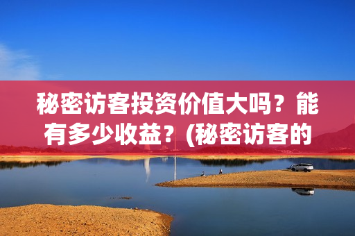 秘密访客投资价值大吗？能有多少收益？(秘密访客的票价)