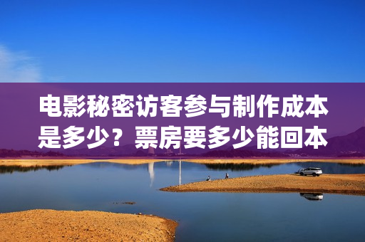 电影秘密访客参与制作成本是多少？票房要多少能回本？(电影秘密访客介绍)