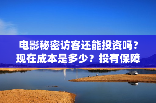 电影秘密访客还能投资吗？现在成本是多少？投有保障吗？怎么投资？(解读电影秘密访客)