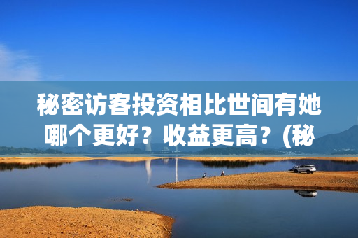 秘密访客投资相比世间有她哪个更好？收益更高？(秘密访客总投资)
