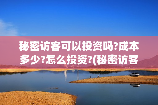 秘密访客可以投资吗?成本多少?怎么投资?(秘密访客访客)
