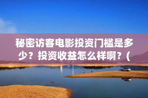 秘密访客电影投资门槛是多少？投资收益怎么样啊？(秘密访客电影投资多少钱)