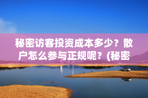 秘密访客投资成本多少？散户怎么参与正规呢？(秘密访客 投资方)
