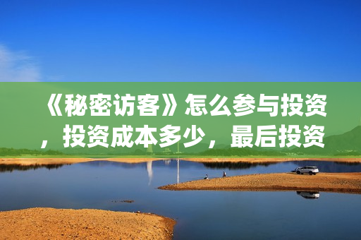 《秘密访客》怎么参与投资，投资成本多少，最后投资会溢价吗？((秘密访客))
