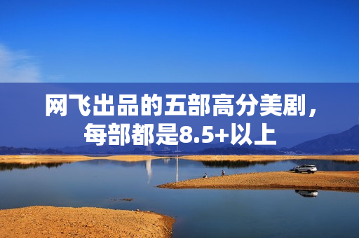 网飞出品的五部高分美剧，每部都是8.5+以上