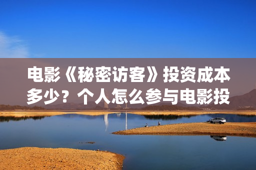 电影《秘密访客》投资成本多少？个人怎么参与电影投资？ 有哪些投资优势？(电影《秘密访客》在线观看)