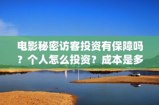 电影秘密访客投资有保障吗？个人怎么投资？成本是多少？(秘密访客电影票)