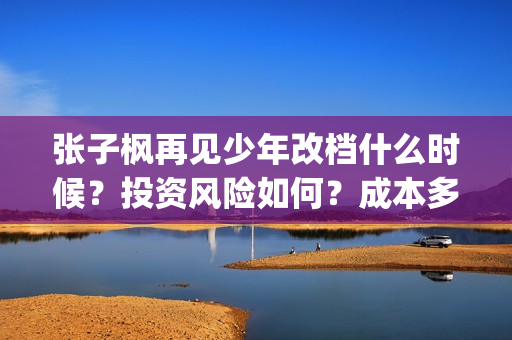 张子枫再见少年改档什么时候？投资风险如何？成本多少？(张子枫再见少年图片)