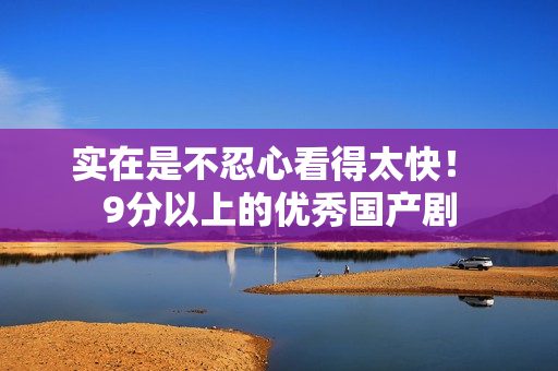 实在是不忍心看得太快！ 9分以上的优秀国产剧