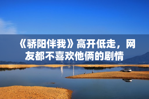 《骄阳伴我》高开低走，网友都不喜欢他俩的剧情