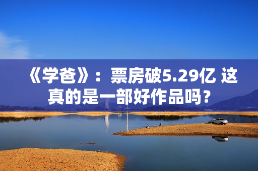 《学爸》：票房破5.29亿 这真的是一部好作品吗？
