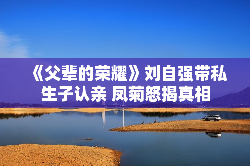 《父辈的荣耀》刘自强带私生子认亲 凤菊怒揭真相