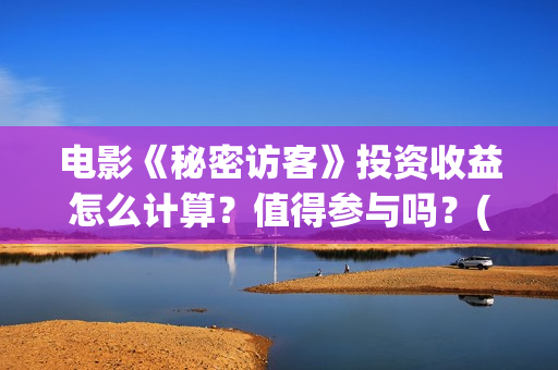 电影《秘密访客》投资收益怎么计算？值得参与吗？(电影《秘密访客》在线观看)