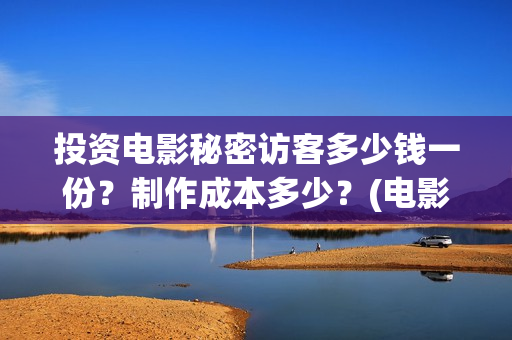 投资电影秘密访客多少钱一份？制作成本多少？(电影秘密简介)
