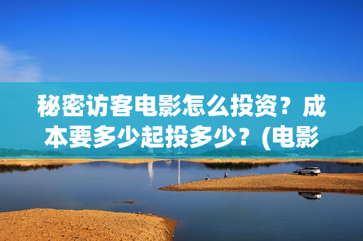 秘密访客电影怎么投资？成本要多少起投多少？(电影秘密访客视频)