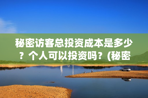 秘密访客总投资成本是多少？个人可以投资吗？(秘密访客总投资多少钱)