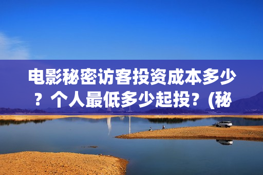 电影秘密访客投资成本多少？个人最低多少起投？(秘密访客电影价钱)