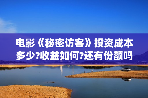 电影《秘密访客》投资成本多少?收益如何?还有份额吗?(电影秘密访客故事讲的是什么)