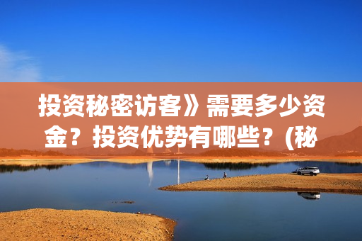 投资秘密访客》需要多少资金？投资优势有哪些？(秘密访客投资方)