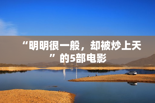 “明明很一般，却被炒上天”的5部电影