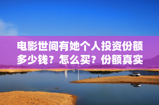 电影世间有她个人投资份额多少钱？怎么买？份额真实吗？(电影 世间有她)