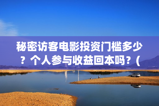 秘密访客电影投资门槛多少？个人参与收益回本吗？(密秘访客 电影)