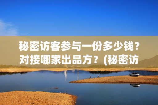 秘密访客参与一份多少钱？对接哪家出品方？(秘密访客参与一战的是谁)