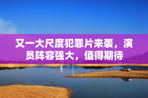 又一大尺度犯罪片来袭，演员阵容强大，值得期待