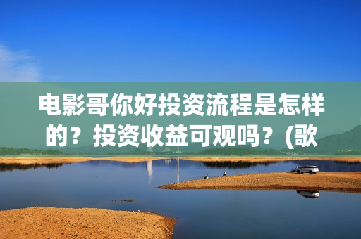 电影哥你好投资流程是怎样的？投资收益可观吗？(歌曲哥哥你好)