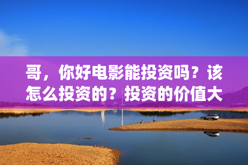 哥，你好电影能投资吗？该怎么投资的？投资的价值大吗？(哥哥你好牛)