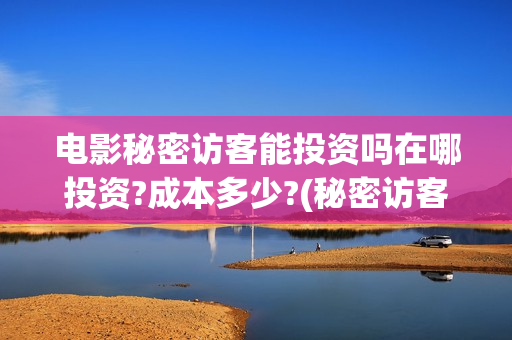 电影秘密访客能投资吗在哪投资?成本多少?(秘密访客 bd)