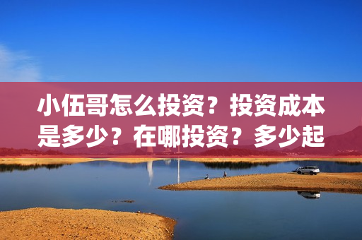 小伍哥怎么投资？投资成本是多少？在哪投资？多少起投？(小伍哥个人资料)