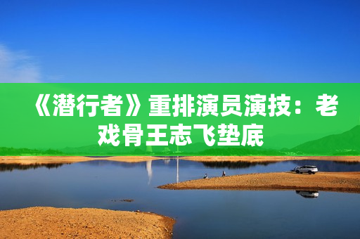 《潜行者》重排演员演技：老戏骨王志飞垫底