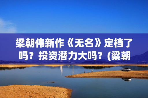 梁朝伟新作《无名》定档了吗？投资潜力大吗？(梁朝伟参演无名)