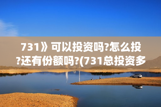 731》可以投资吗?怎么投?还有份额吗?(731总投资多少)