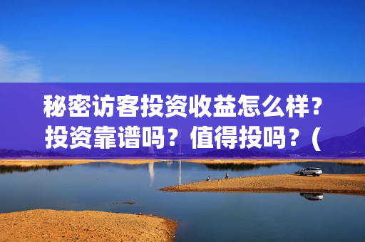 秘密访客投资收益怎么样？投资靠谱吗？值得投吗？(秘密访客总投资)