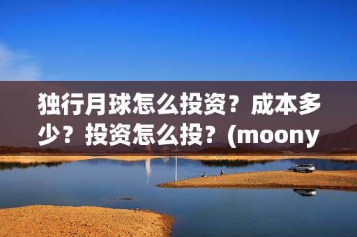 独行月球怎么投资？成本多少？投资怎么投？(moonyou-独行月球)