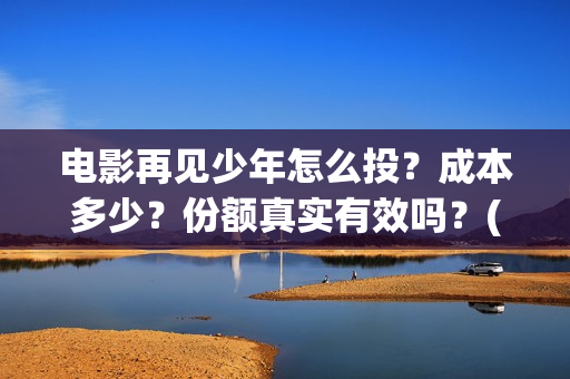 电影再见少年怎么投？成本多少？份额真实有效吗？(电影 再见少年)