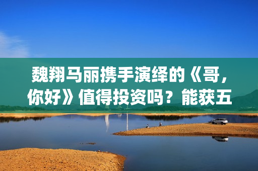 魏翔马丽携手演绎的《哥，你好》值得投资吗？能获五一档票房冠军吗？(魏翔参演电影)