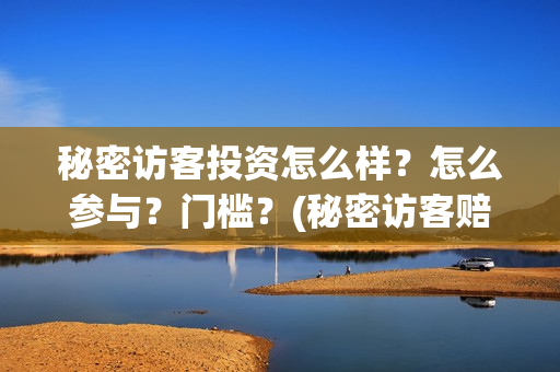 秘密访客投资怎么样？怎么参与？门槛？(秘密访客赔钱了吗)