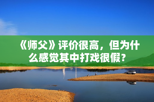 《师父》评价很高，但为什么感觉其中打戏很假？
