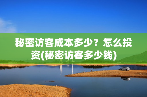 秘密访客成本多少？怎么投资(秘密访客多少钱)