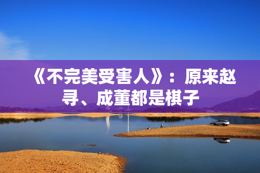 《不完美受害人》：原来赵寻、成董都是棋子