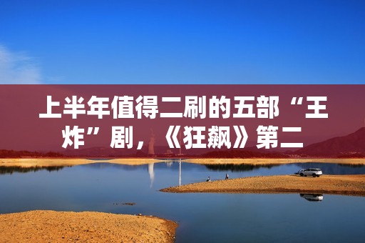 上半年值得二刷的五部“王炸”剧，《狂飙》第二