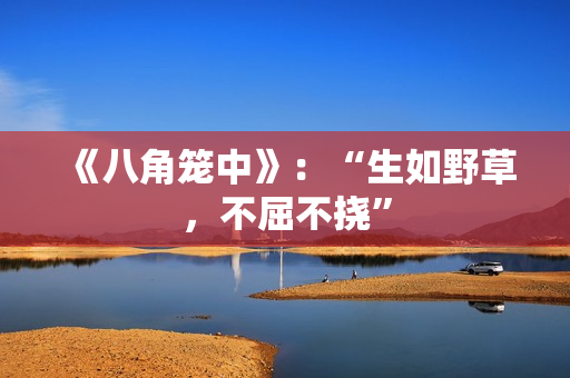 《八角笼中》：“生如野草，不屈不挠”