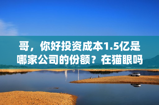 哥，你好投资成本1.5亿是哪家公司的份额？在猫眼吗？预测票房多少？(鹩哥你好mp3)